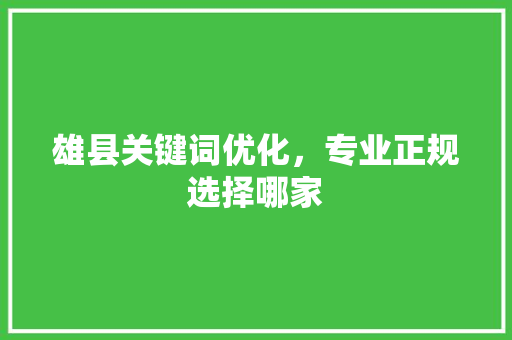 雄县关键词优化，专业正规选择哪家