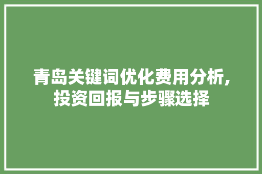 青岛关键词优化费用分析,投资回报与步骤选择