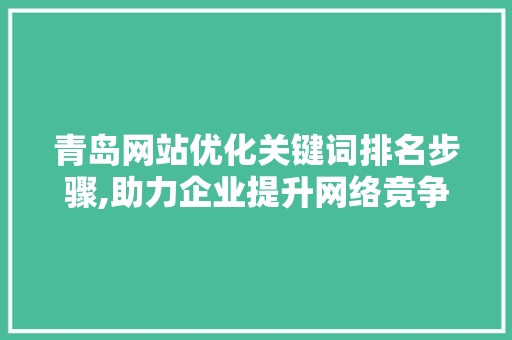 青岛网站优化关键词排名步骤,助力企业提升网络竞争力