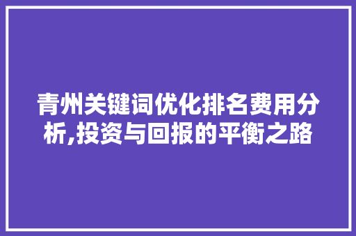 青州关键词优化排名费用分析,投资与回报的平衡之路
