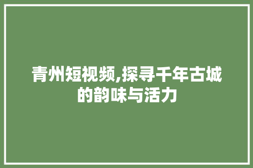 青州短视频,探寻千年古城的韵味与活力