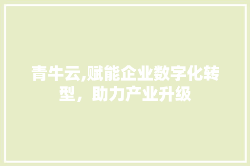 青牛云,赋能企业数字化转型，助力产业升级