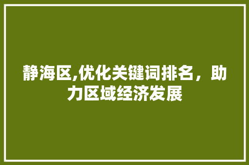 静海区,优化关键词排名，助力区域经济发展