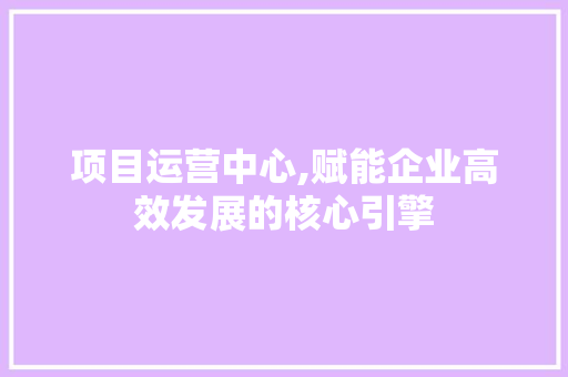 项目运营中心,赋能企业高效发展的核心引擎