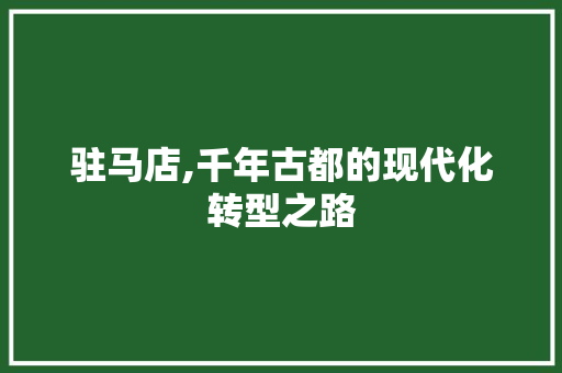 驻马店,千年古都的现代化转型之路