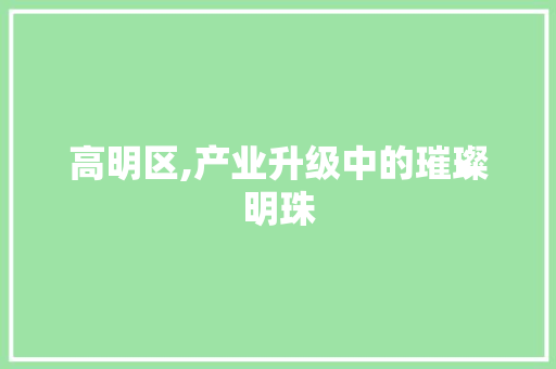 高明区,产业升级中的璀璨明珠