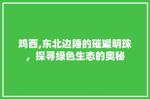 鸡西,东北边陲的璀璨明珠，探寻绿色生态的奥秘