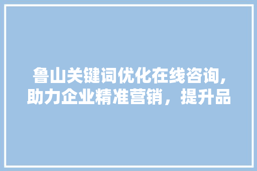 鲁山关键词优化在线咨询,助力企业精准营销，提升品牌影响力