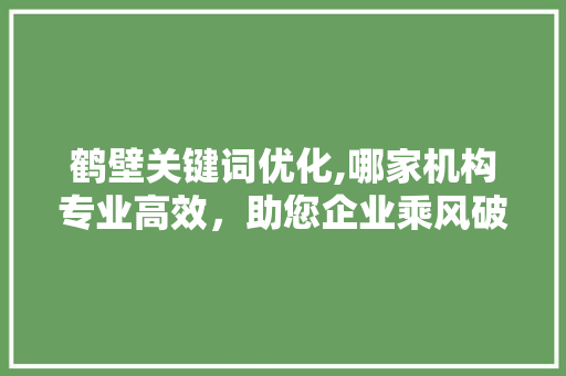 鹤壁关键词优化,哪家机构专业高效，助您企业乘风破浪