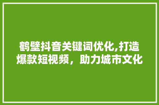 鹤壁抖音关键词优化,打造爆款短视频，助力城市文化传播