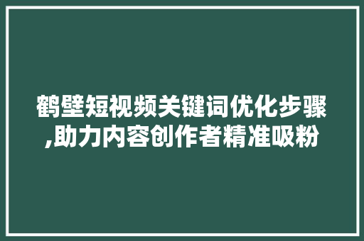 鹤壁短视频关键词优化步骤,助力内容创作者精准吸粉