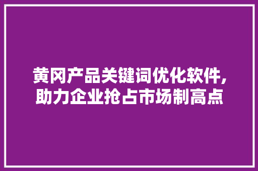 黄冈产品关键词优化软件,助力企业抢占市场制高点