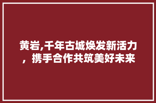 黄岩,千年古城焕发新活力，携手合作共筑美好未来