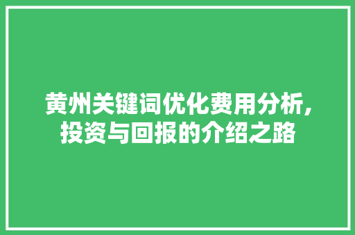 黄州关键词优化费用分析,投资与回报的介绍之路