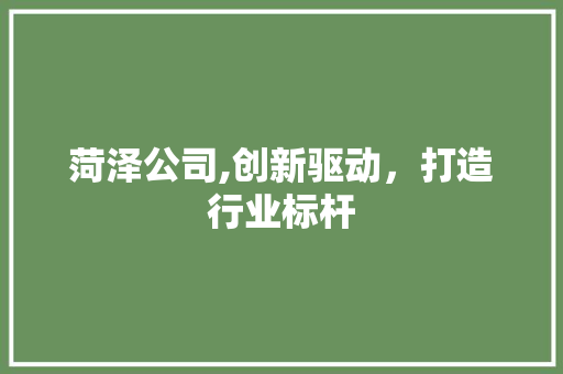 菏泽公司,创新驱动，打造行业标杆 网站建设