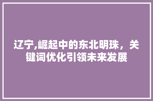 辽宁,崛起中的东北明珠，关键词优化引领未来发展