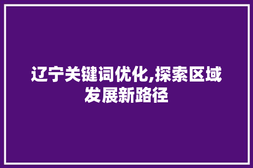 辽宁关键词优化,探索区域发展新路径