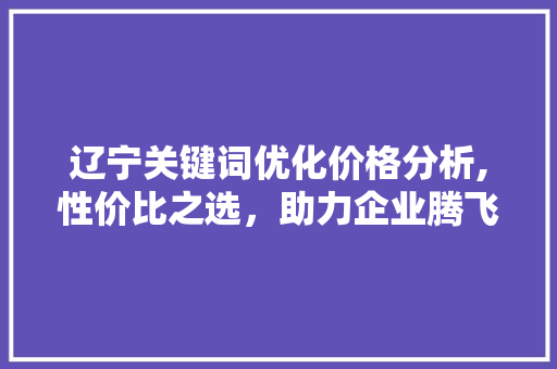 辽宁关键词优化价格分析,性价比之选，助力企业腾飞