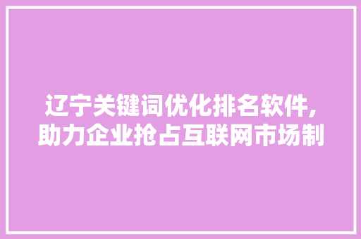 辽宁关键词优化排名软件,助力企业抢占互联网市场制高点