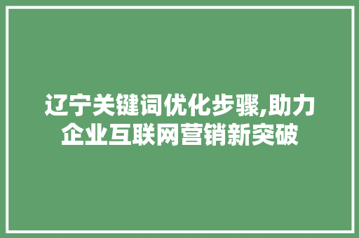 辽宁关键词优化步骤,助力企业互联网营销新突破