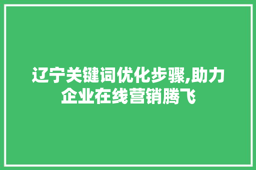 辽宁关键词优化步骤,助力企业在线营销腾飞