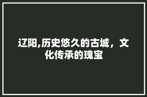 辽阳,历史悠久的古城，文化传承的瑰宝
