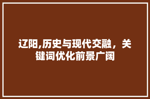 辽阳,历史与现代交融，关键词优化前景广阔