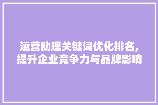 运营助理关键词优化排名,提升企业竞争力与品牌影响力