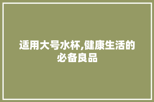 适用大号水杯,健康生活的必备良品