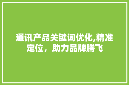 通讯产品关键词优化,精准定位，助力品牌腾飞