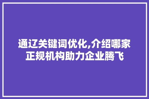 通辽关键词优化,介绍哪家正规机构助力企业腾飞