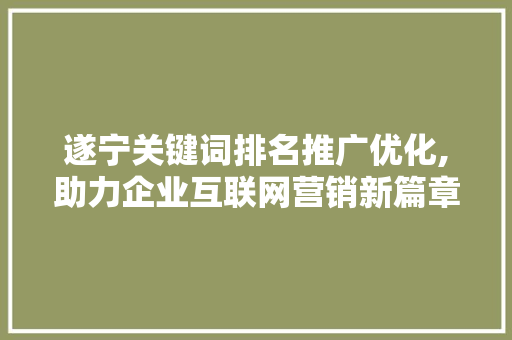 遂宁关键词排名推广优化,助力企业互联网营销新篇章
