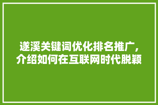 遂溪关键词优化排名推广,介绍如何在互联网时代脱颖而出