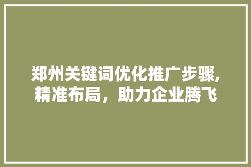 郑州关键词优化推广步骤,精准布局，助力企业腾飞
