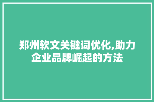 郑州软文关键词优化,助力企业品牌崛起的方法