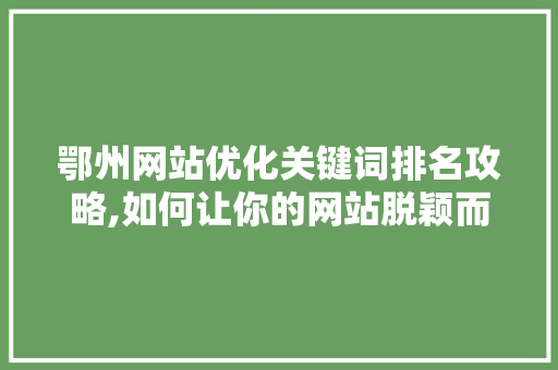鄂州网站优化关键词排名攻略,如何让你的网站脱颖而出