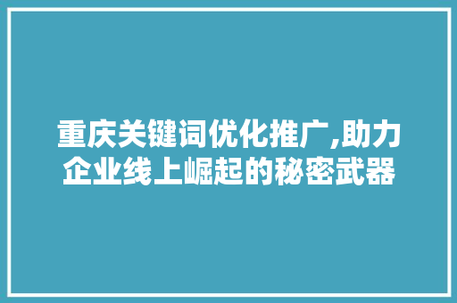 重庆关键词优化推广,助力企业线上崛起的秘密武器