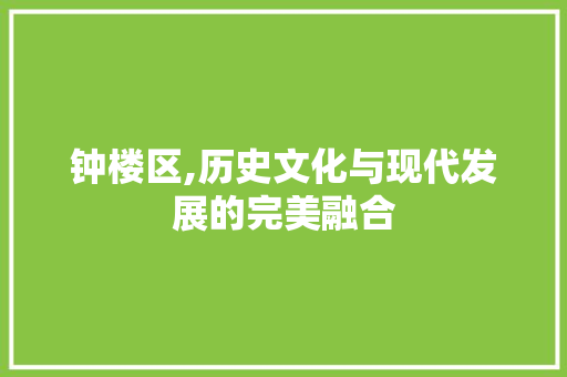 钟楼区,历史文化与现代发展的完美融合