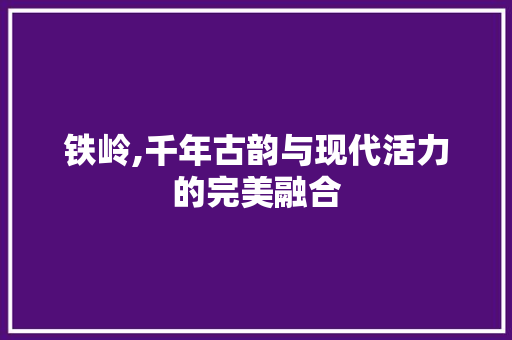 铁岭,千年古韵与现代活力的完美融合