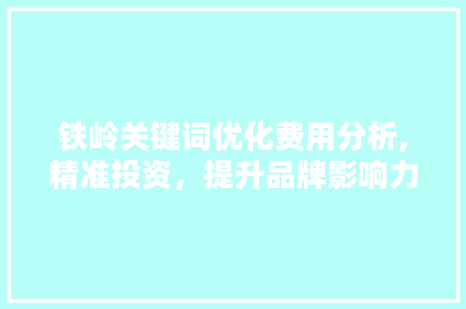 铁岭关键词优化费用分析,精准投资，提升品牌影响力