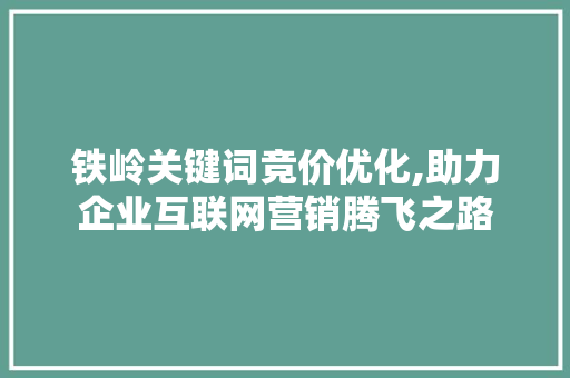 铁岭关键词竞价优化,助力企业互联网营销腾飞之路