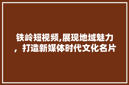 铁岭短视频,展现地域魅力，打造新媒体时代文化名片