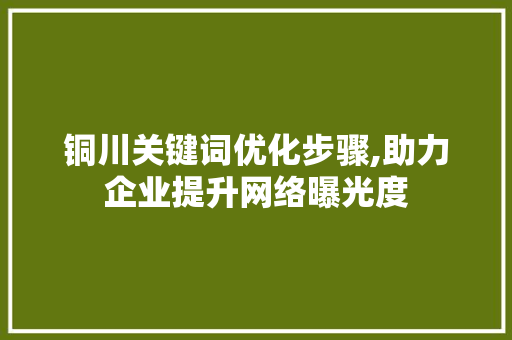 铜川关键词优化步骤,助力企业提升网络曝光度
