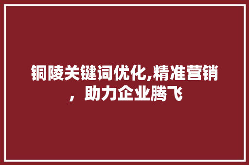 铜陵关键词优化,精准营销，助力企业腾飞