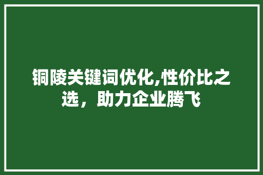 铜陵关键词优化,性价比之选，助力企业腾飞