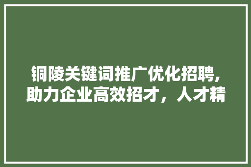 铜陵关键词推广优化招聘,助力企业高效招才，人才精准匹配