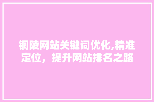 铜陵网站关键词优化,精准定位，提升网站排名之路