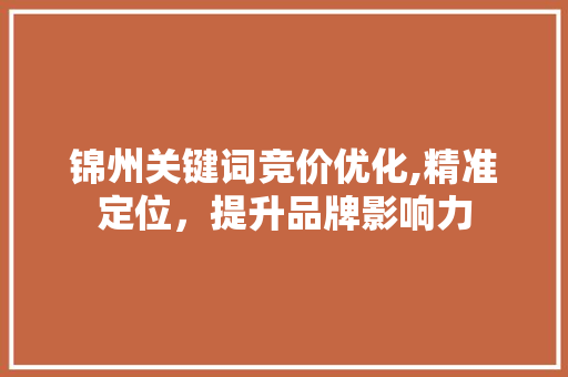 锦州关键词竞价优化,精准定位，提升品牌影响力