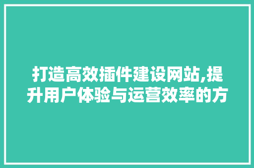 打造高效插件建设网站,提升用户体验与运营效率的方法
