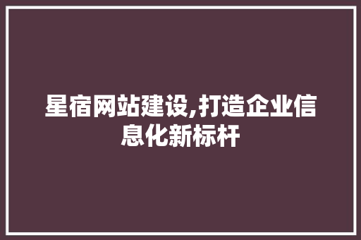 星宿网站建设,打造企业信息化新标杆